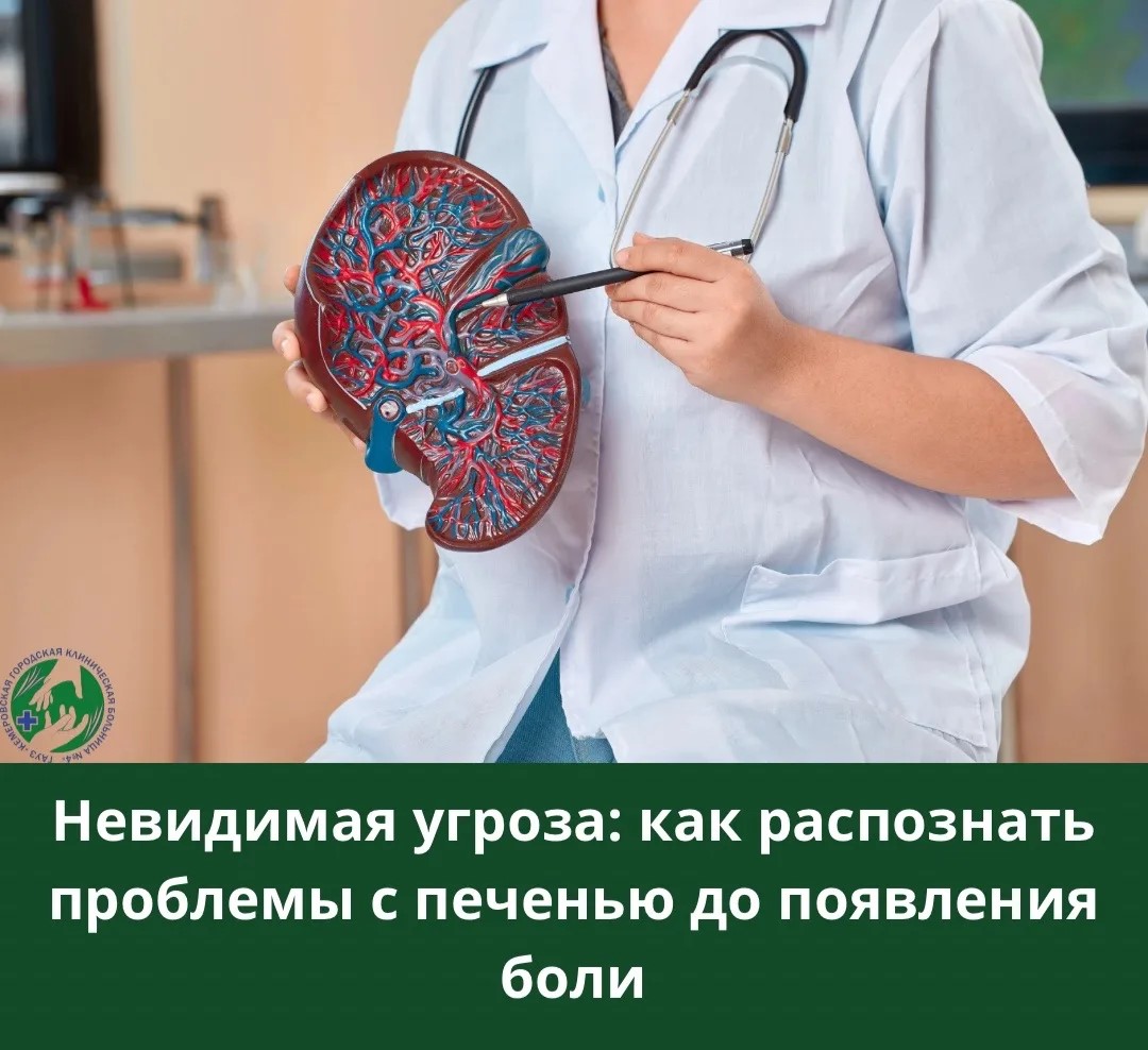 Печень — наш тихий труженик: она работает без выходных, но почти не жалуется.